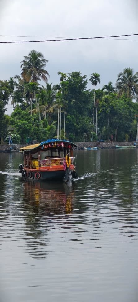 Shikara cruising down a palm-lined Alleppey canal