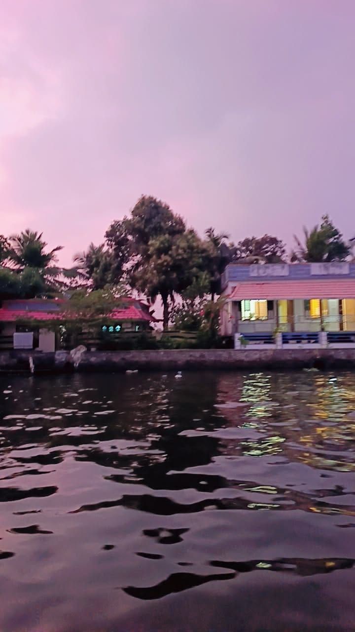 Pink dusk sky over still backwaters at the end of an Alleppey sunset cruise